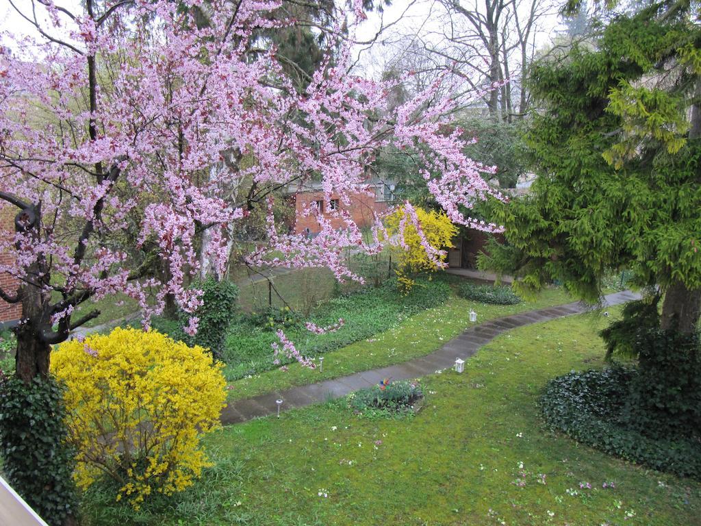 Chez Jean Et Daisy Bed & Breakfast Riehen Exterior photo